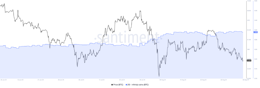 Baleias do Bitcoin