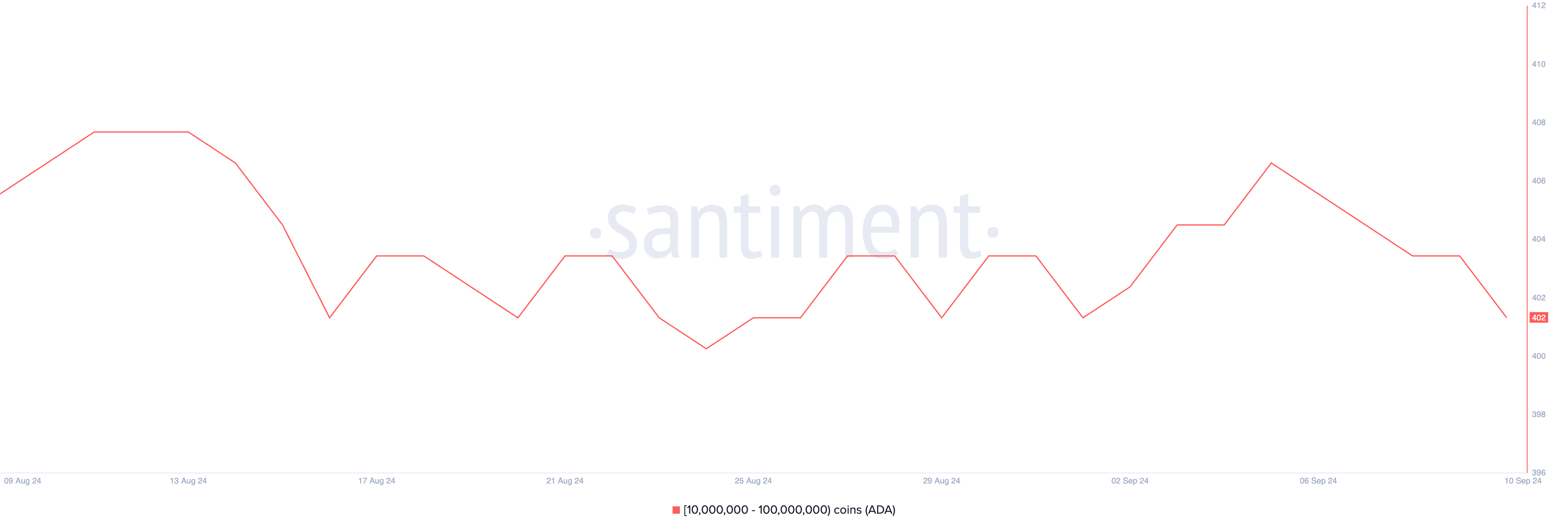 cardano whale activity