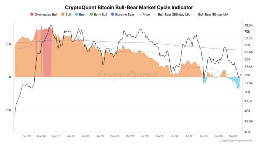 Bitcoin Market Cycle