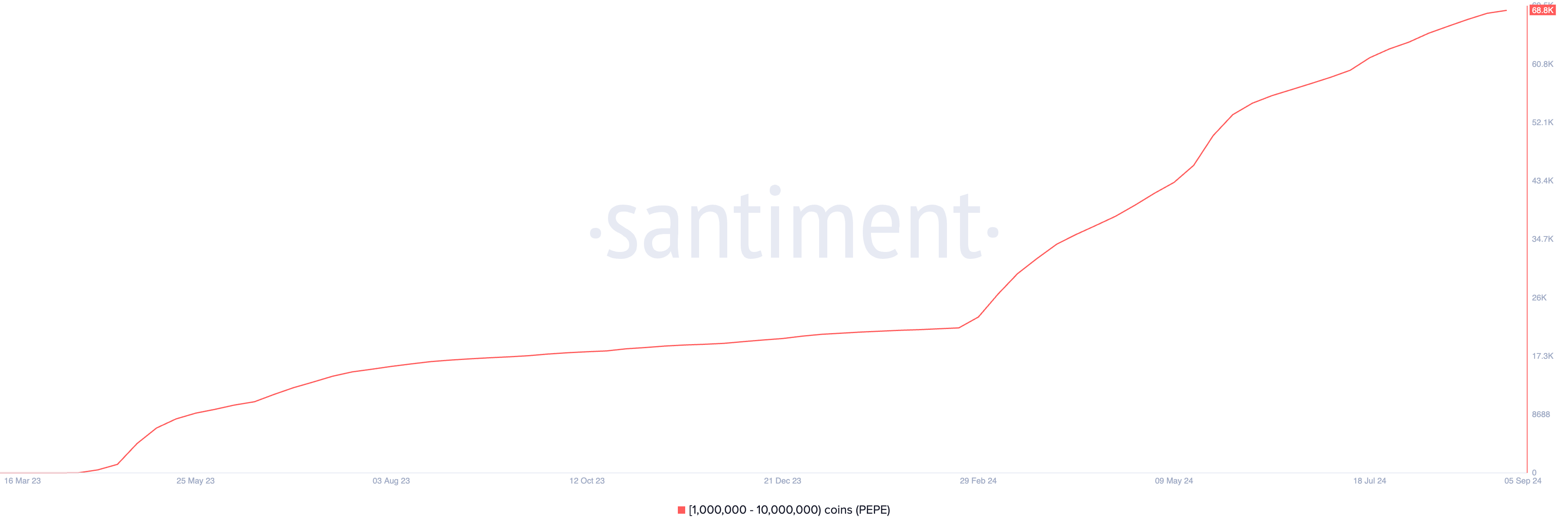 Distribuzione forniture PEPE