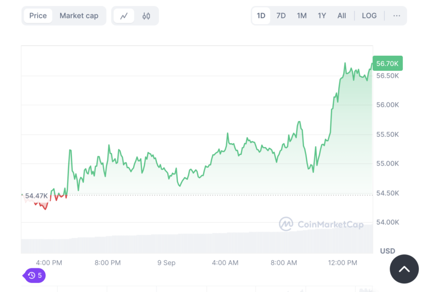 Bitcoin's September 9th Performance
