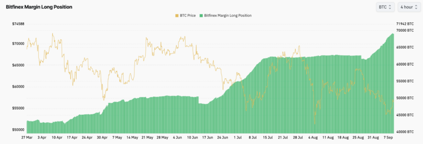 Posizioni lunghe sul margine di Bitfinex