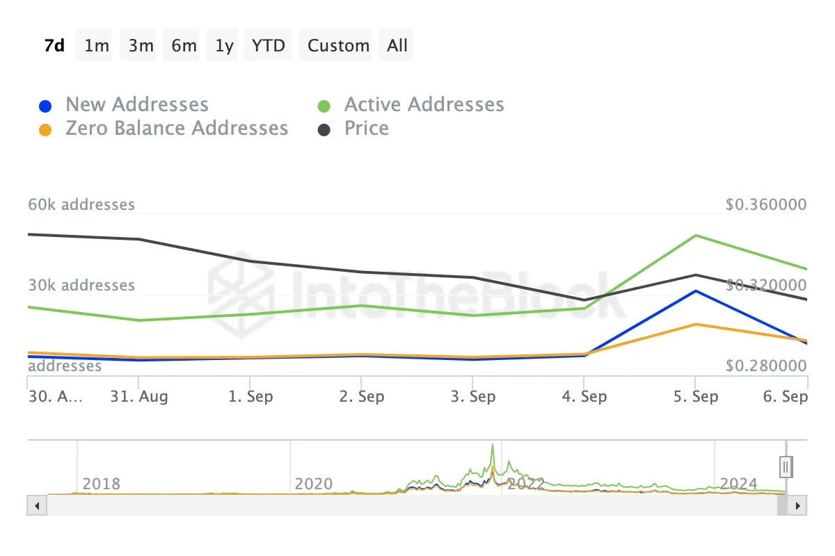 Cardano Network Activity. 