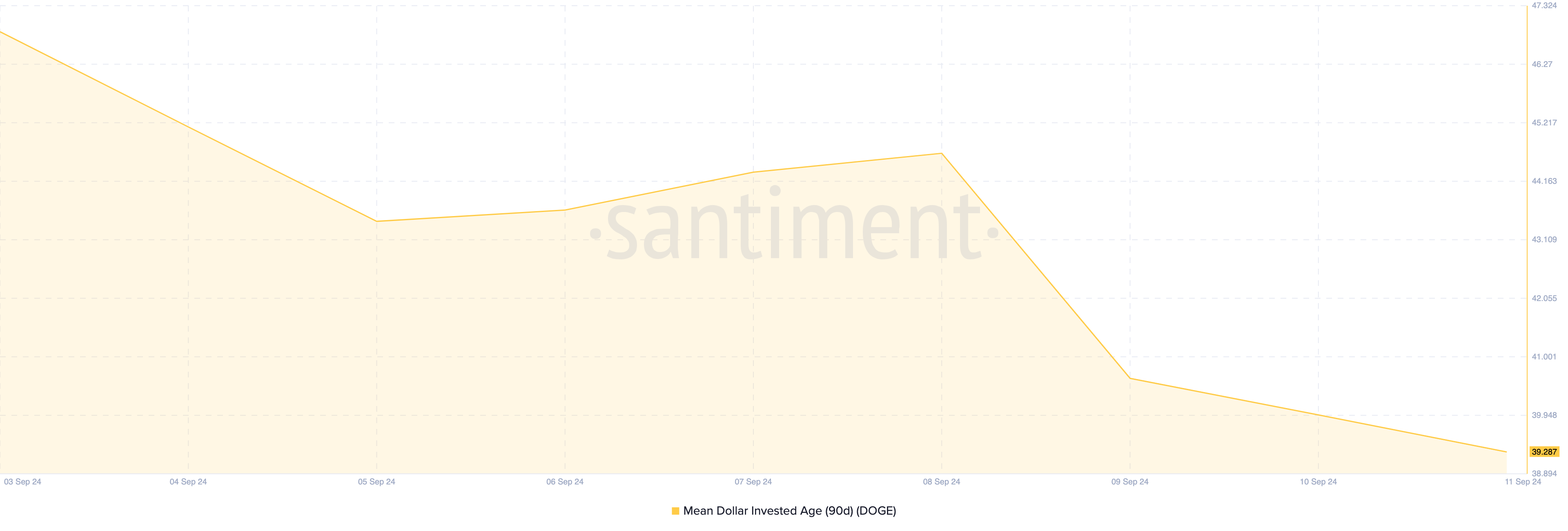 dogecoin invested age