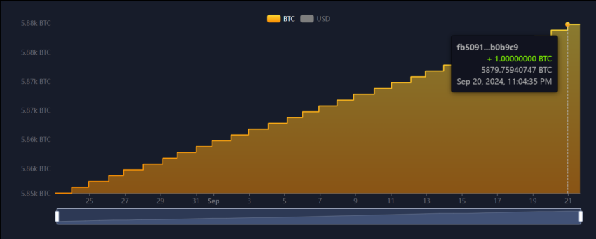 El Salvador’s Current Bitcoin Holding Balance.