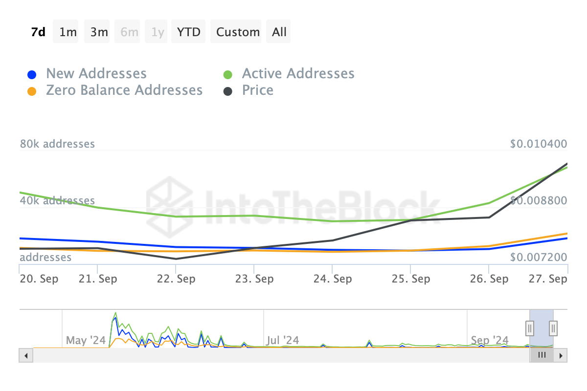 Attività di rete Notcoin. Fonte: IntoTheBlock