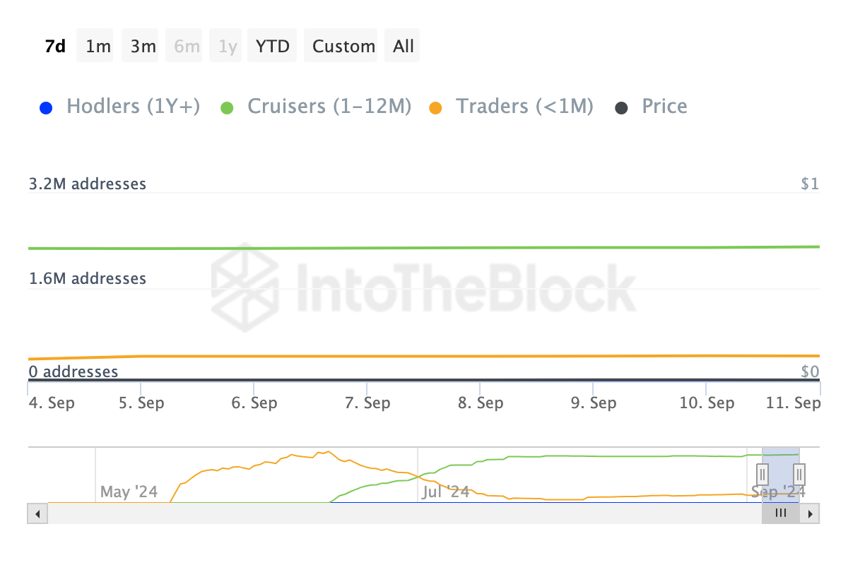 Notcoin Addresses by Time Held. 