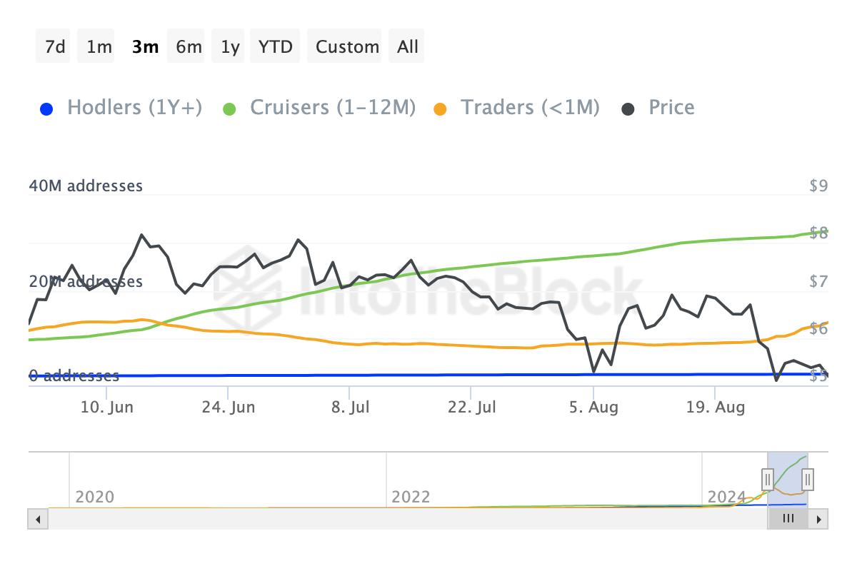 toncoin holders data