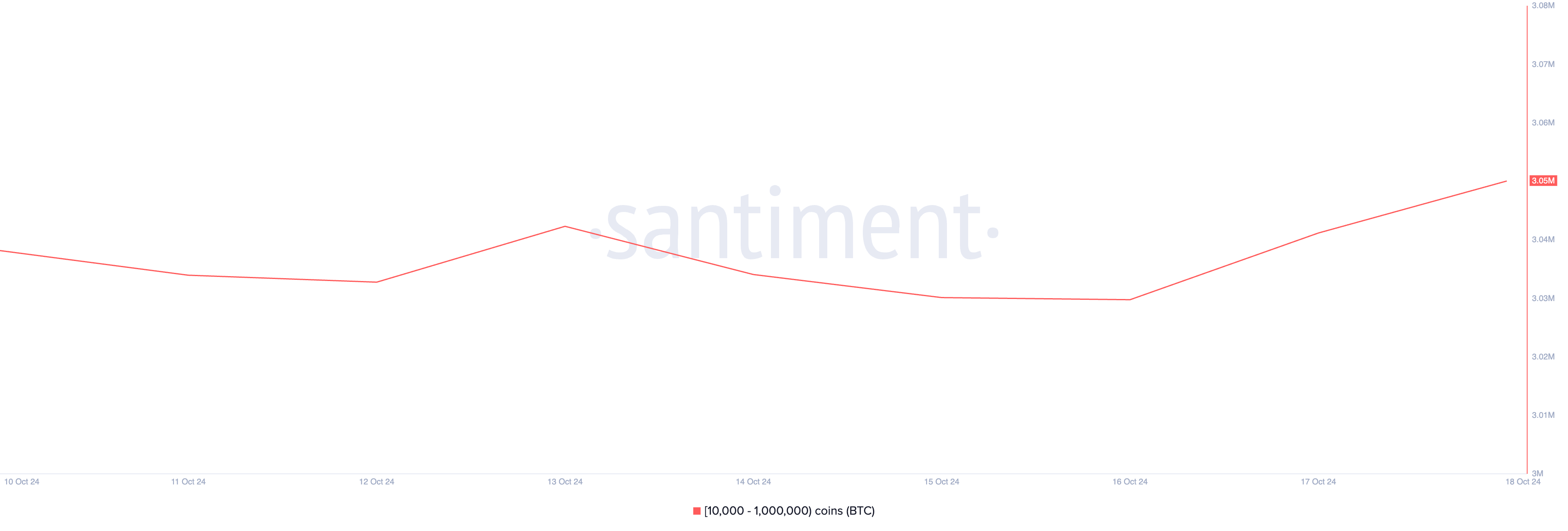 Bitcoin Whales Balance. 