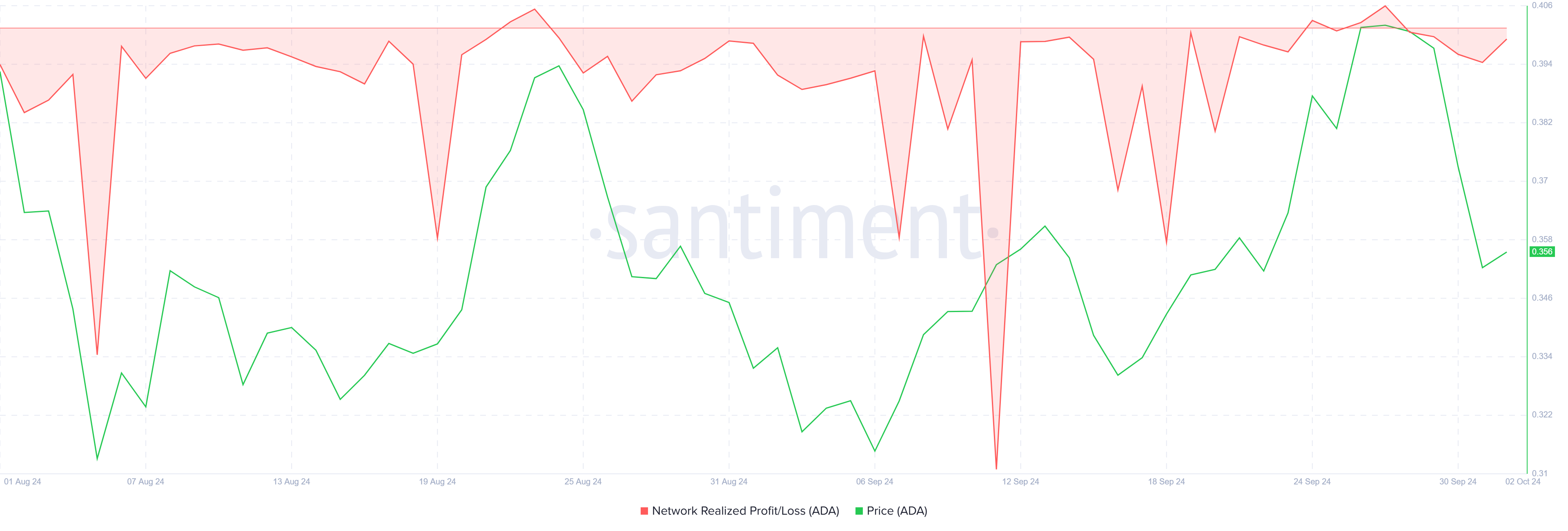 Cardano ha realizzato utili/perdite.