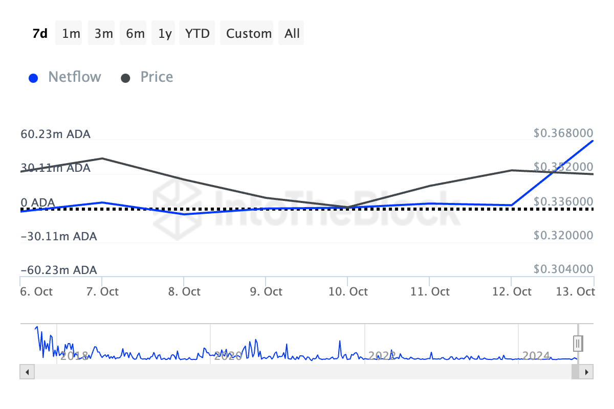 Cardano Is The Largest Holder Of Netflow