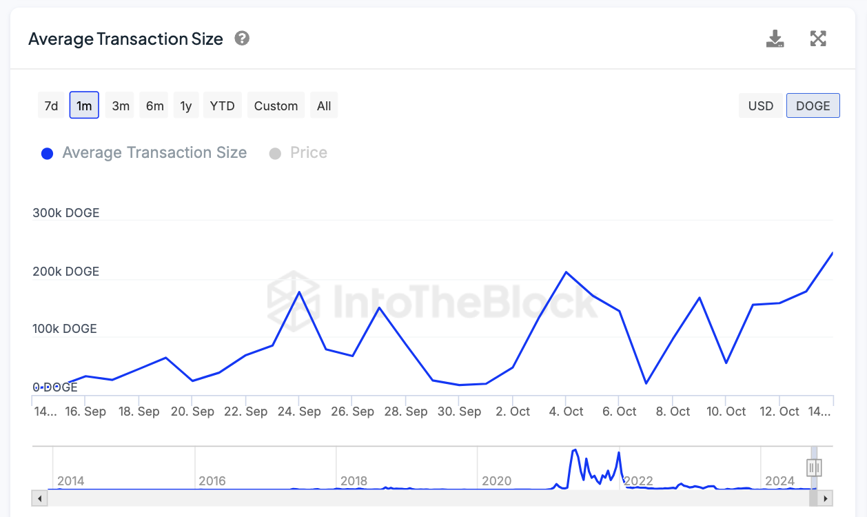 DOGE Average Transaction Size.