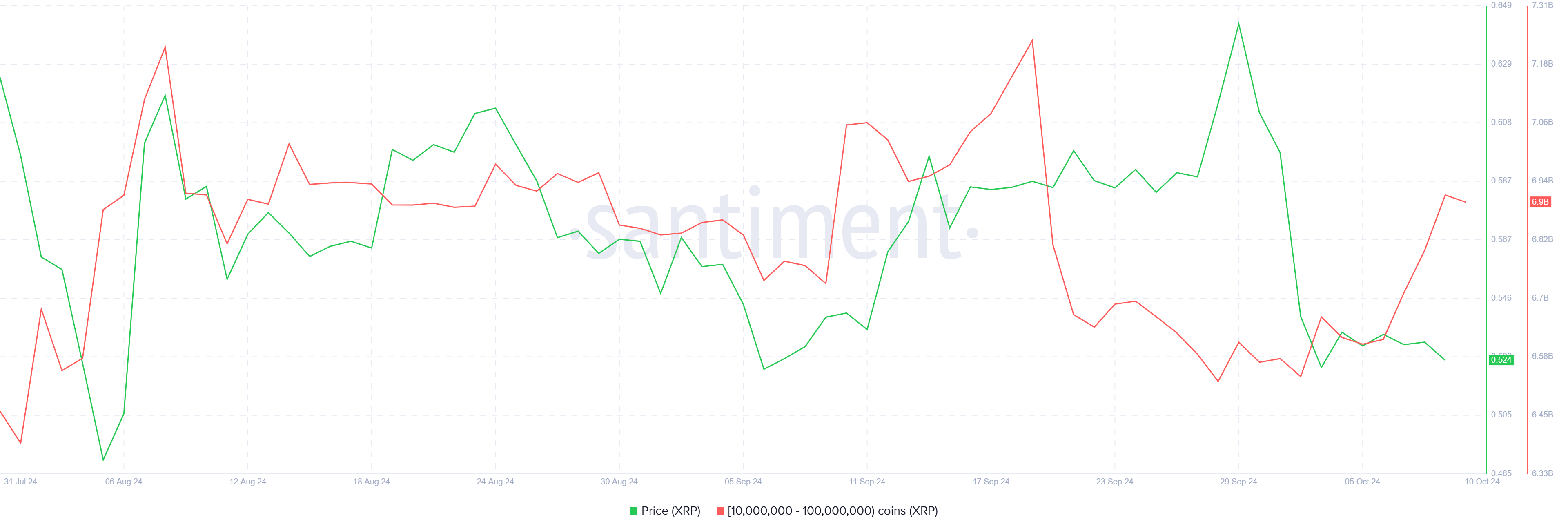 XRP Whale Accumulation