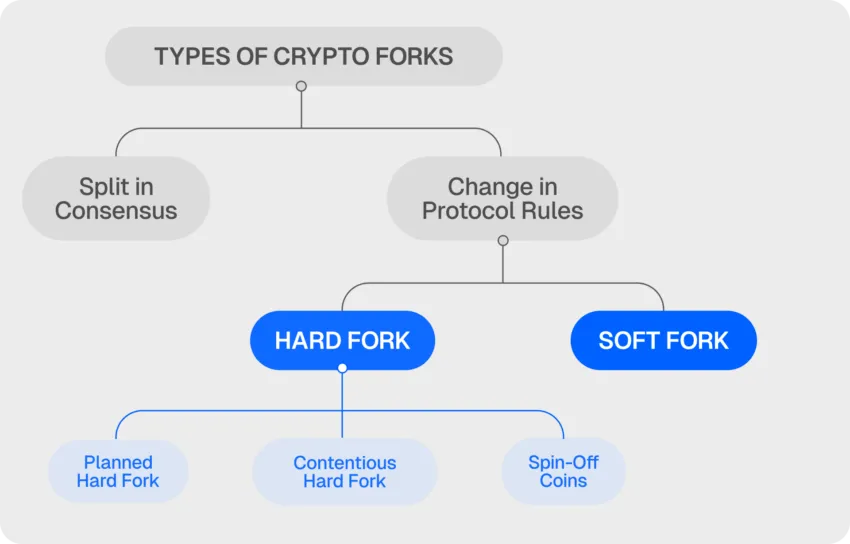 types of crypto fork