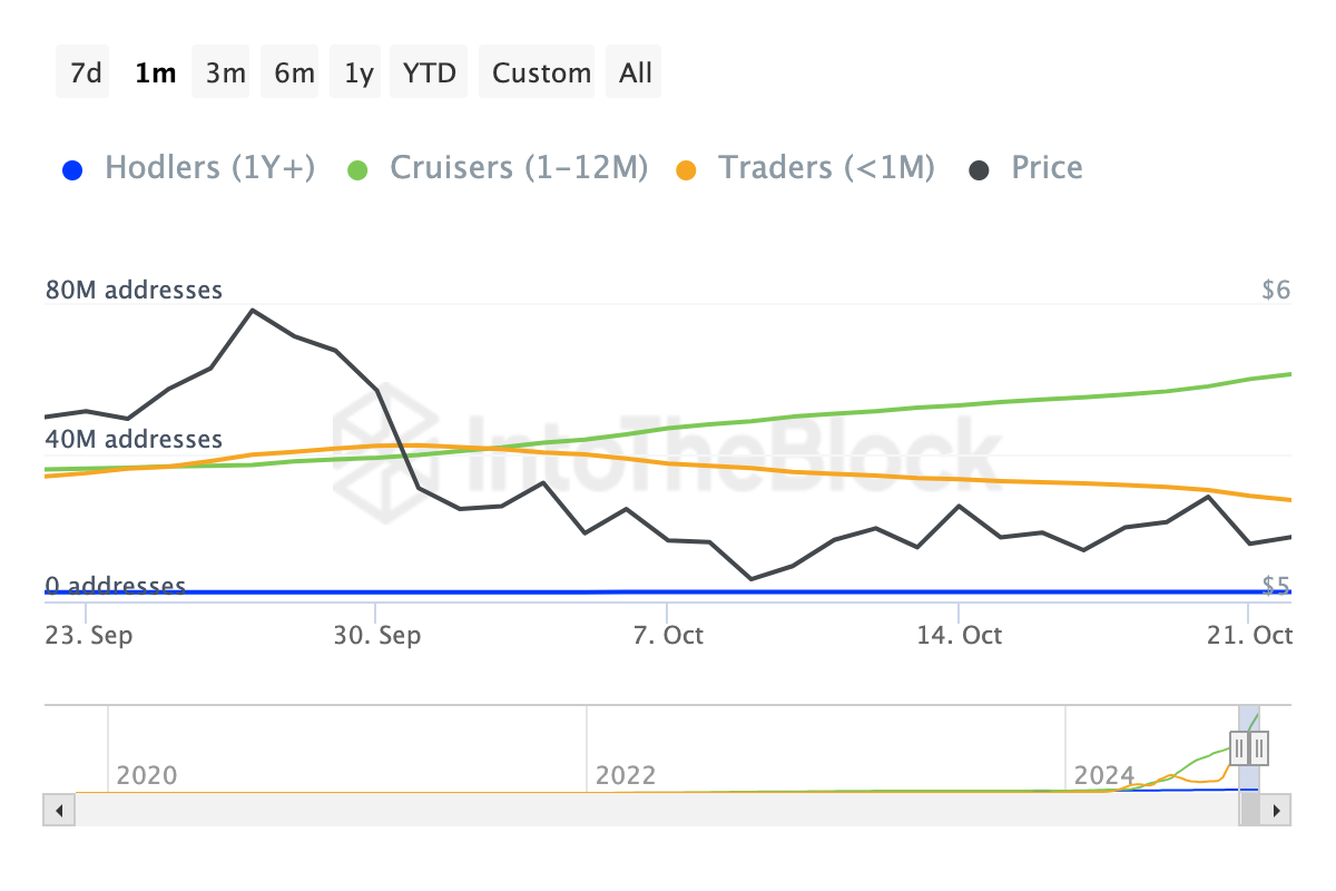 Toncoin short-term holders