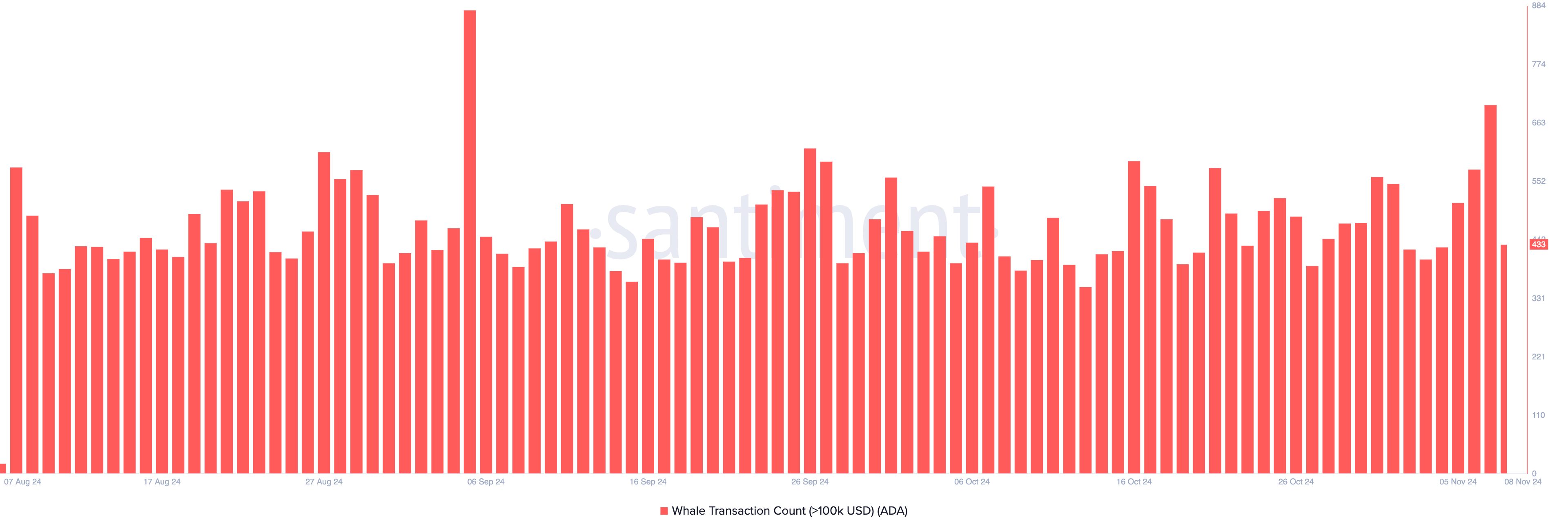 Cardano Whale Activity