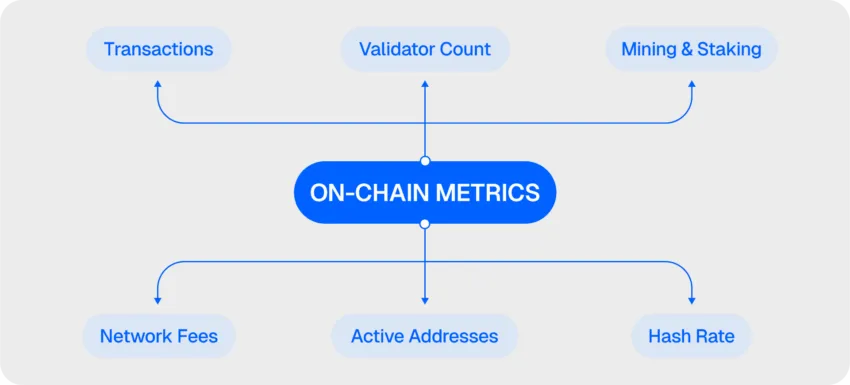 Other relevant on-chain metrics in fundamental analysis: BIC