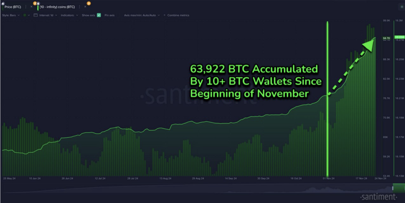 Bitcoin Supply Distribution