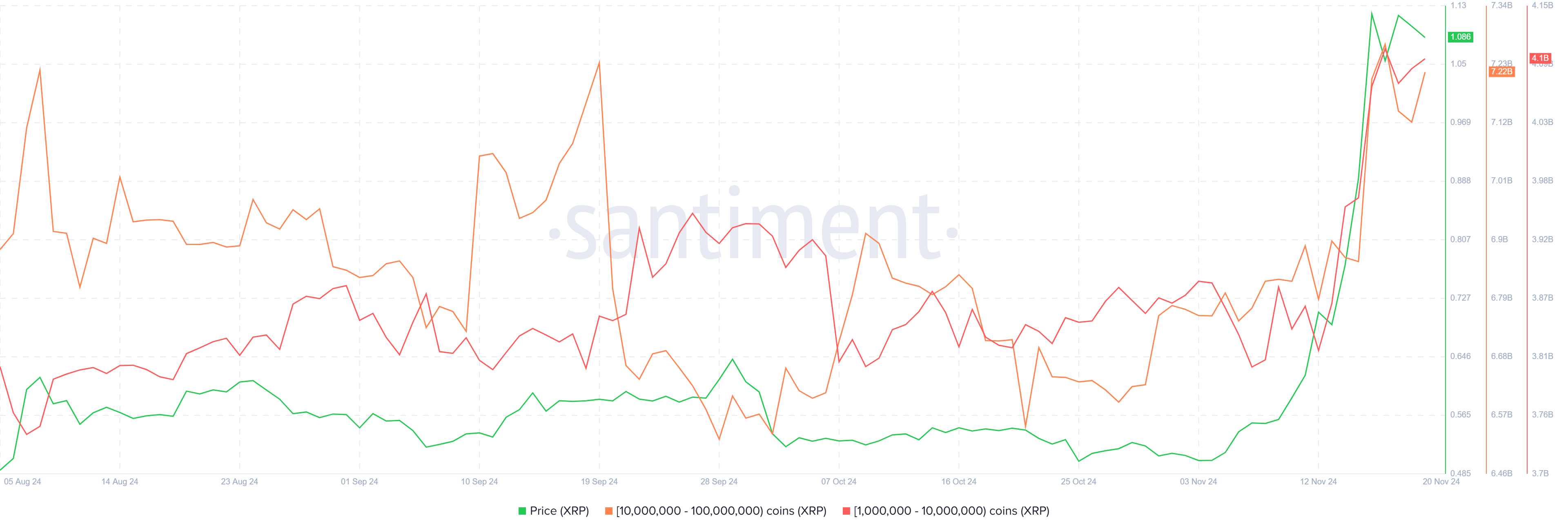 XRP Market Surge: Nearly  Billion Snapped Up by Whales in One Week