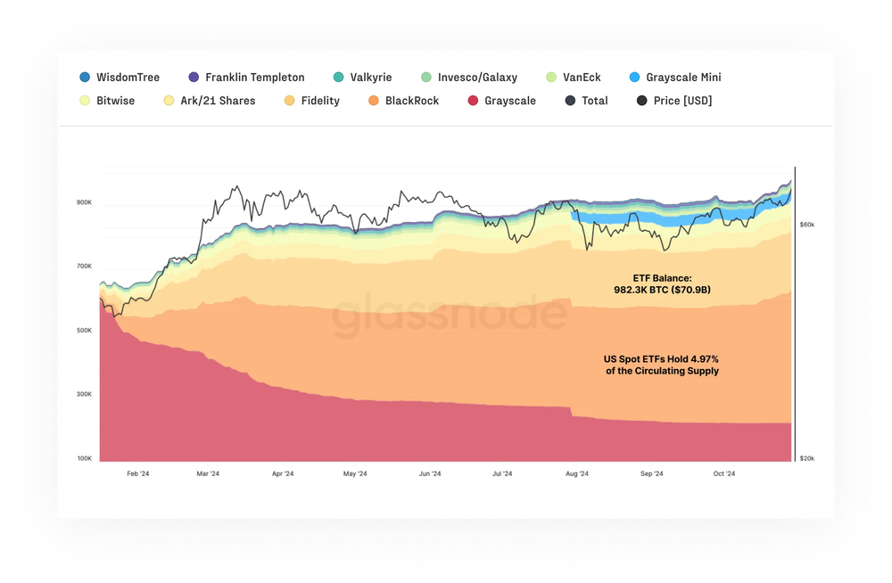 Bitcoin US Spot ETF Balance.