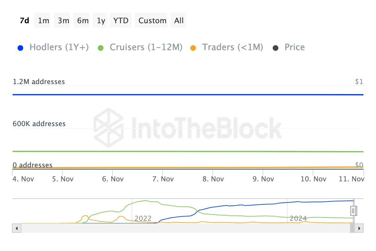 SHIB holders activity