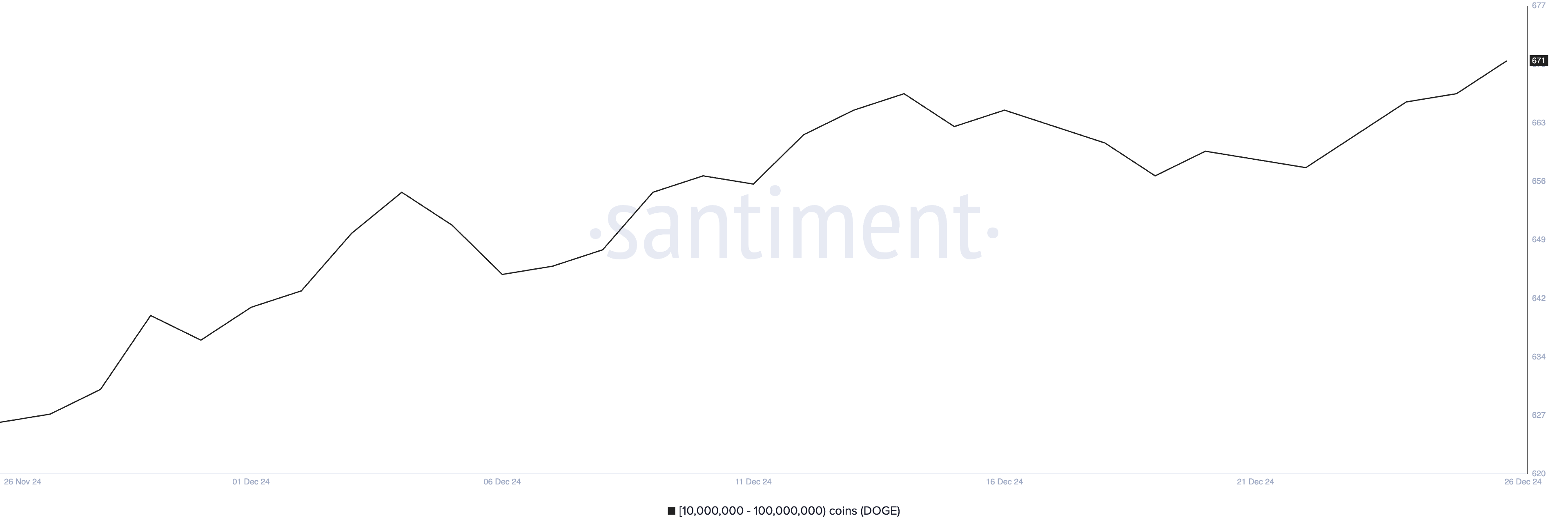 Crypto Whales Bought These Altcoins in the Fourth Week of December 2024