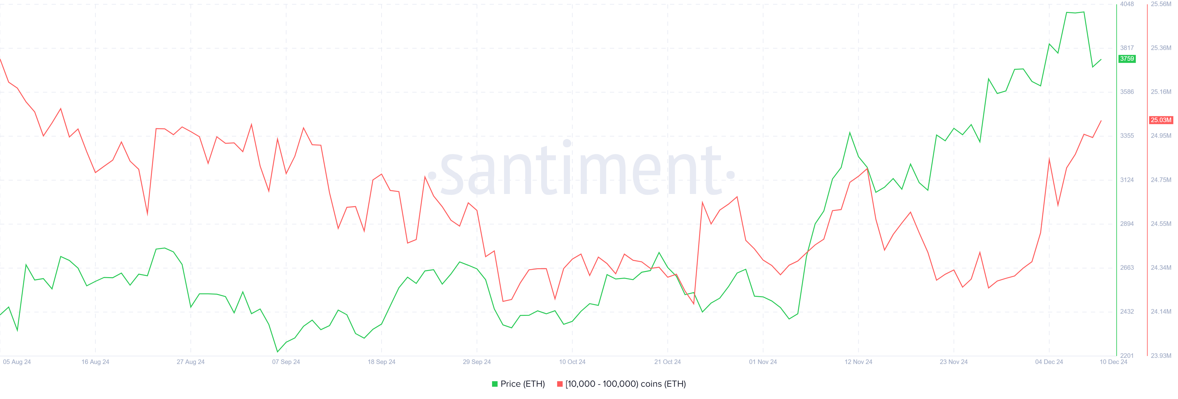 Holding della balena di Ethereum