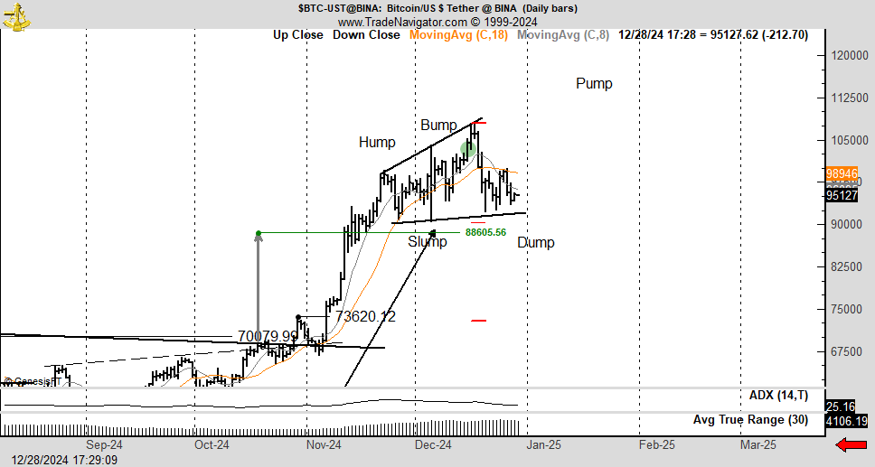 Modello Bitcoin.