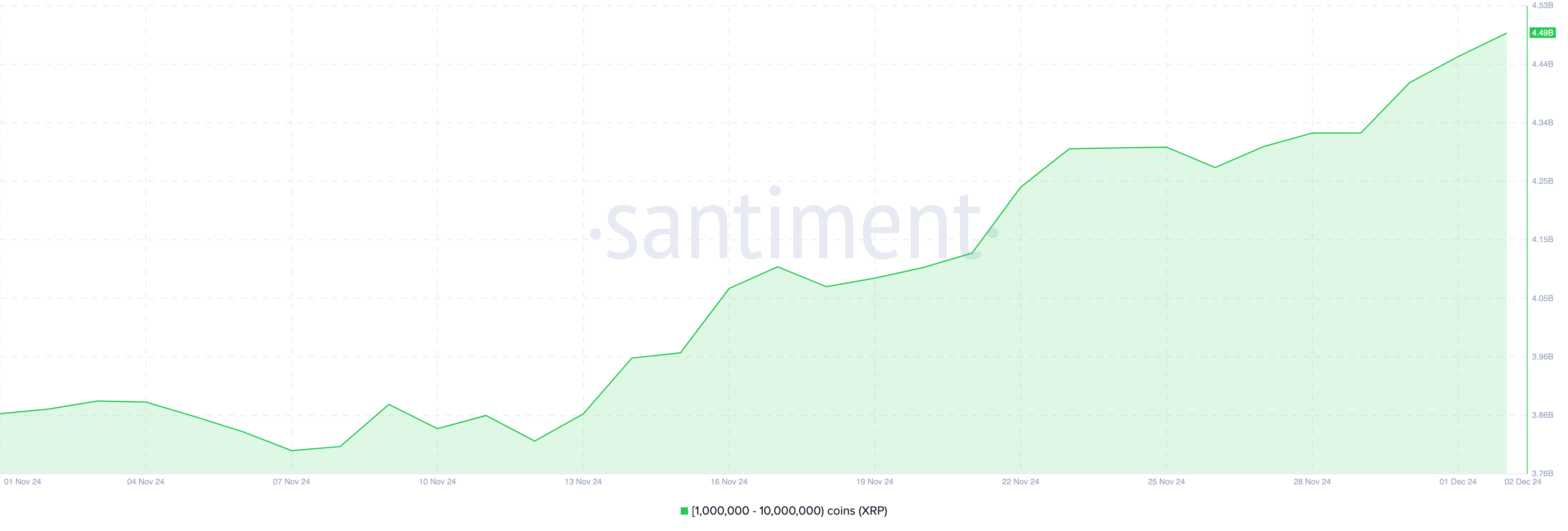 XRP whale accumulation