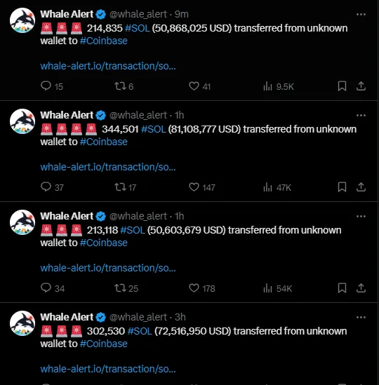 Whale Alert Flags Transactions To Coinbase