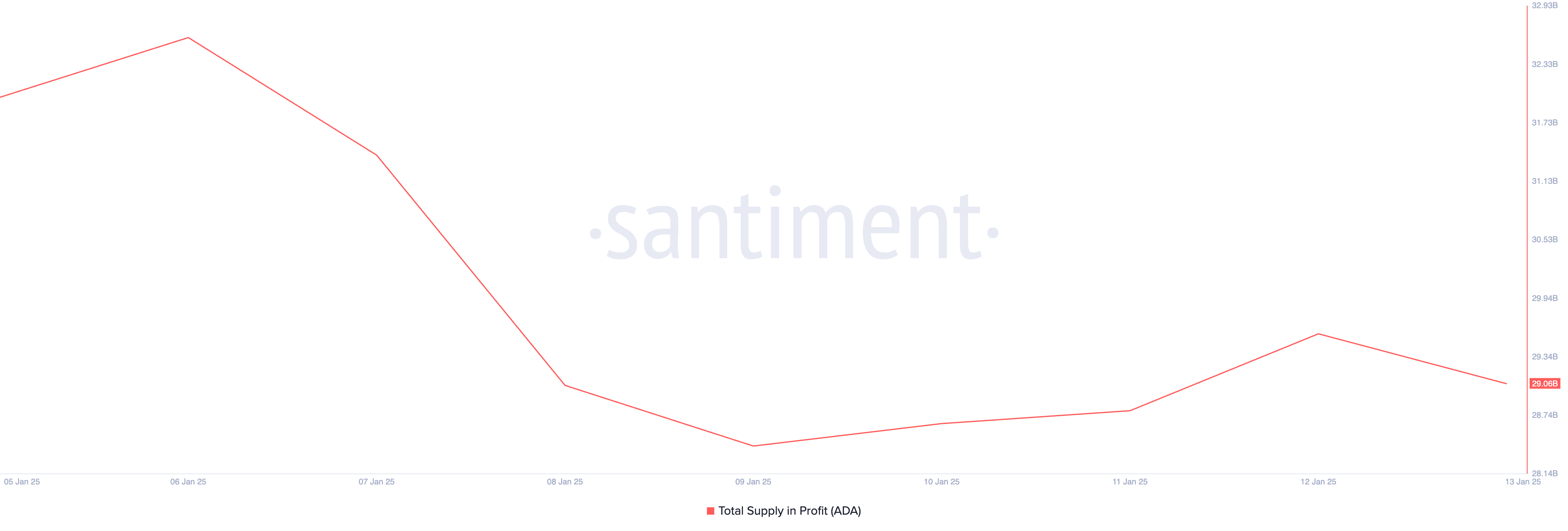 Cardano's Total Supply in Profit