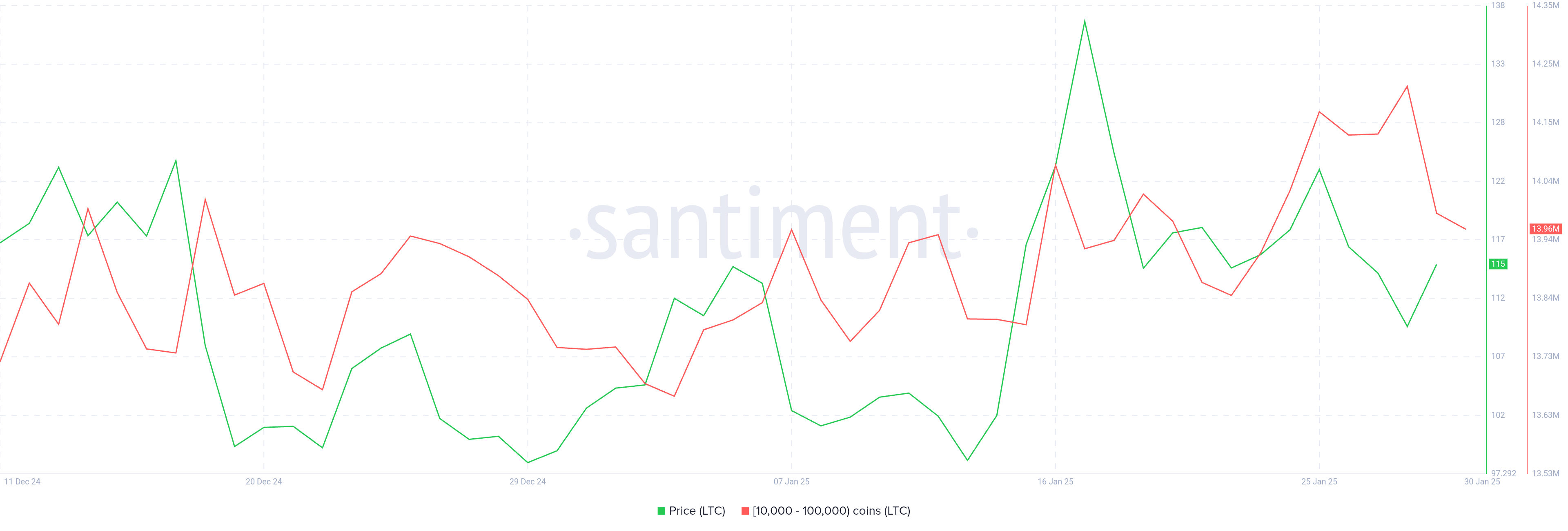 Litecoin Whale Holdings