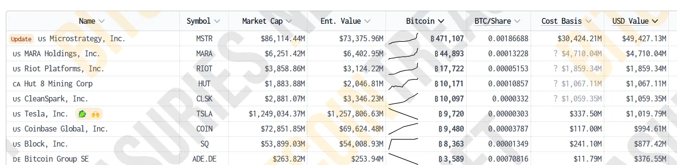 Tesla Bitcoin