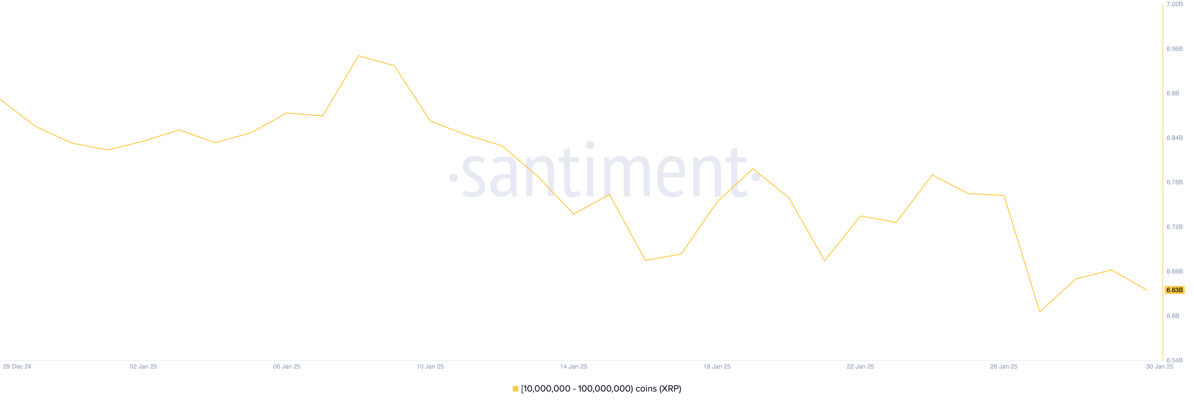 XRP Whale Holdings.