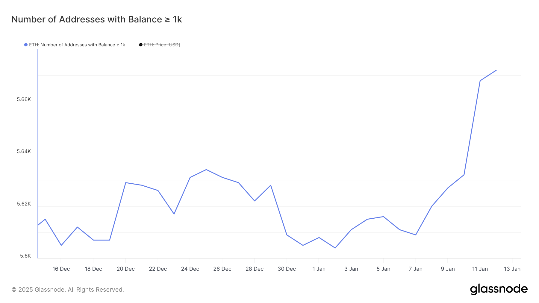 Addresses with Balance >= 1,000 ETH.