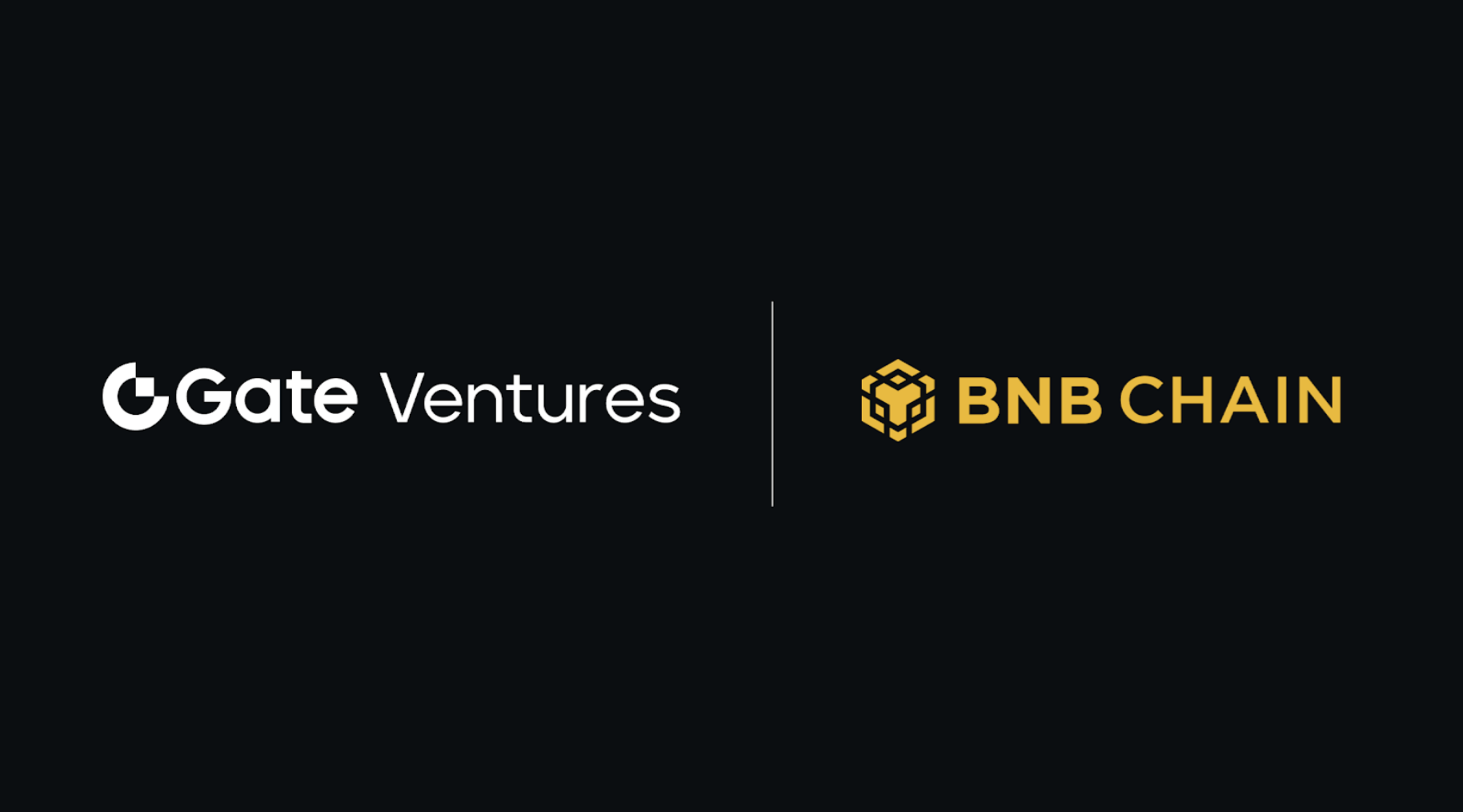 Gate Ventures Pledges $20M to Help the BNB Incubation Alliance