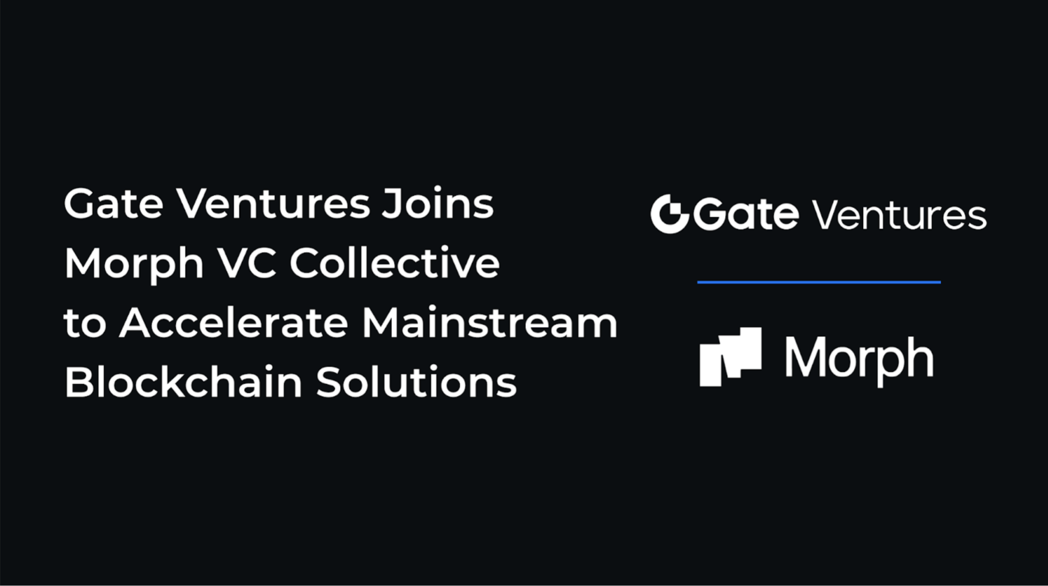 Gate Ventures si unisce al Morph VC Collective per accelerare le soluzioni Blockchain tradizionali