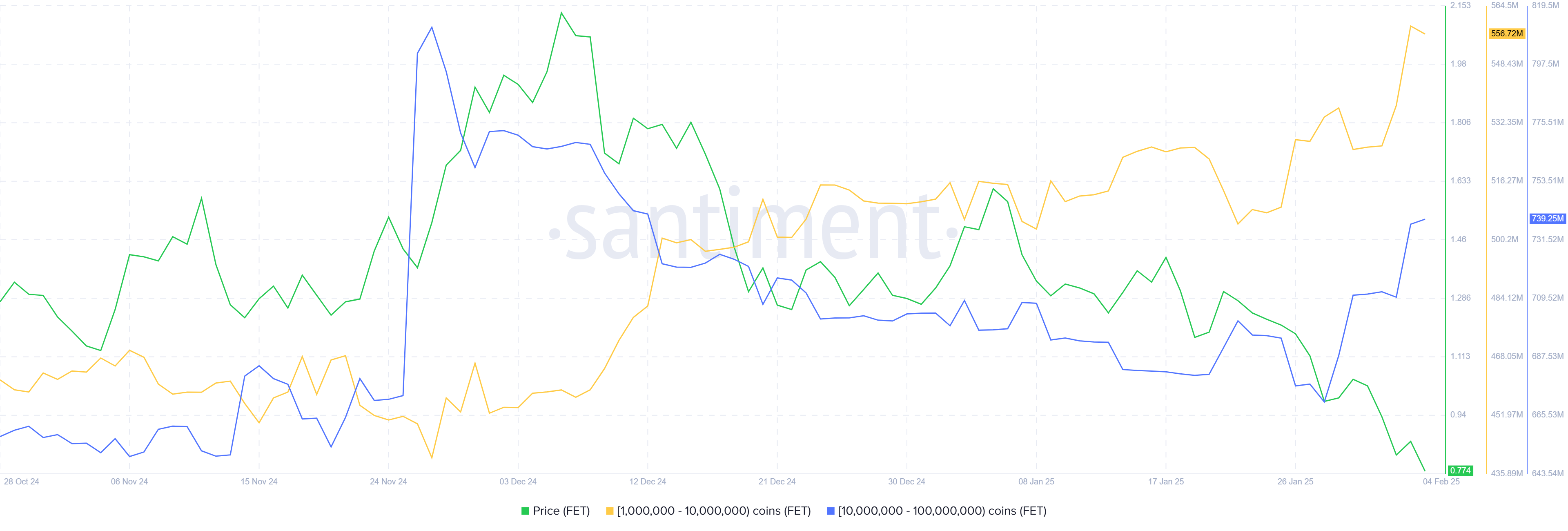 FET Whale Holdings