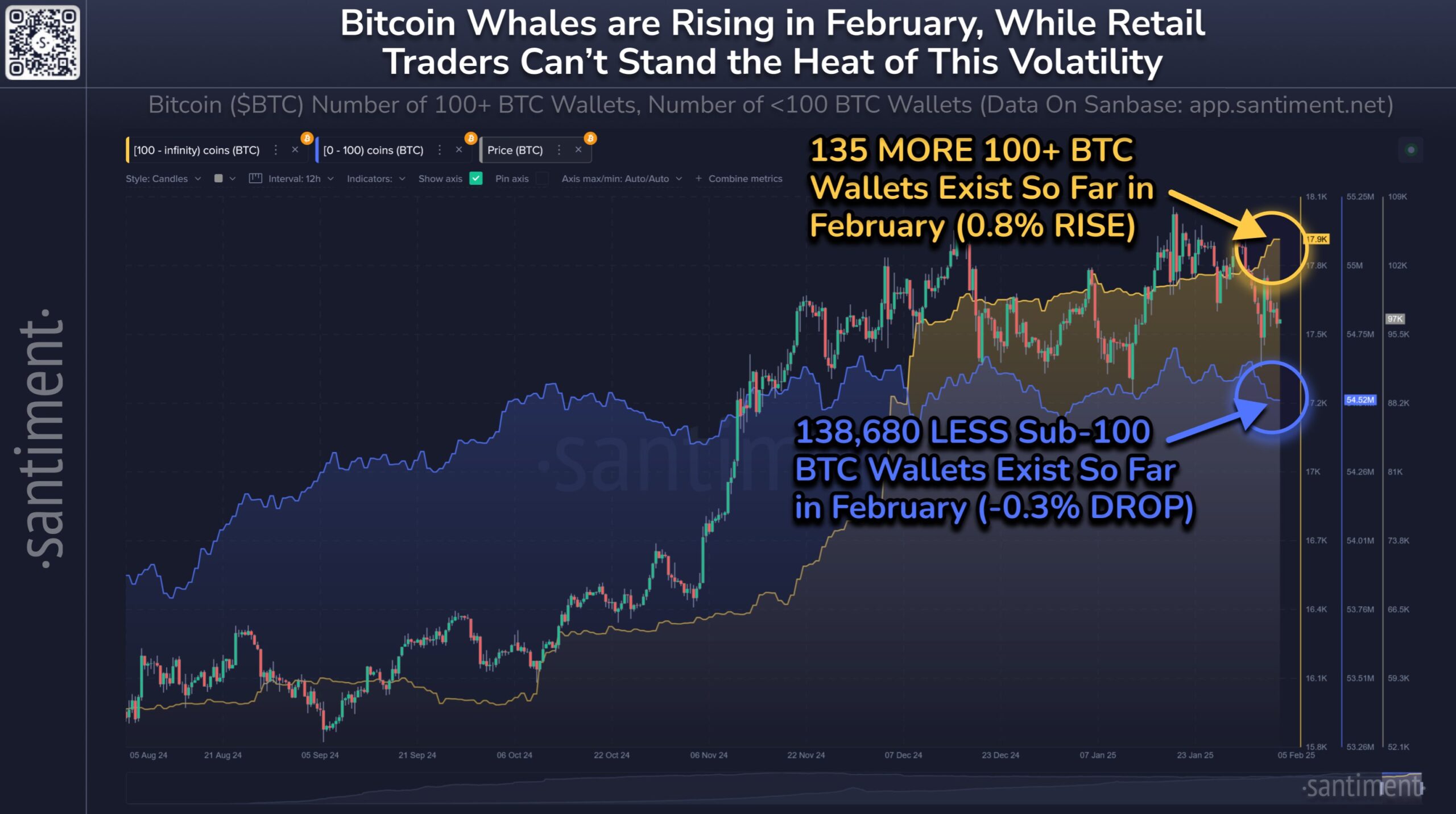 Bitcoin Whale Holdings