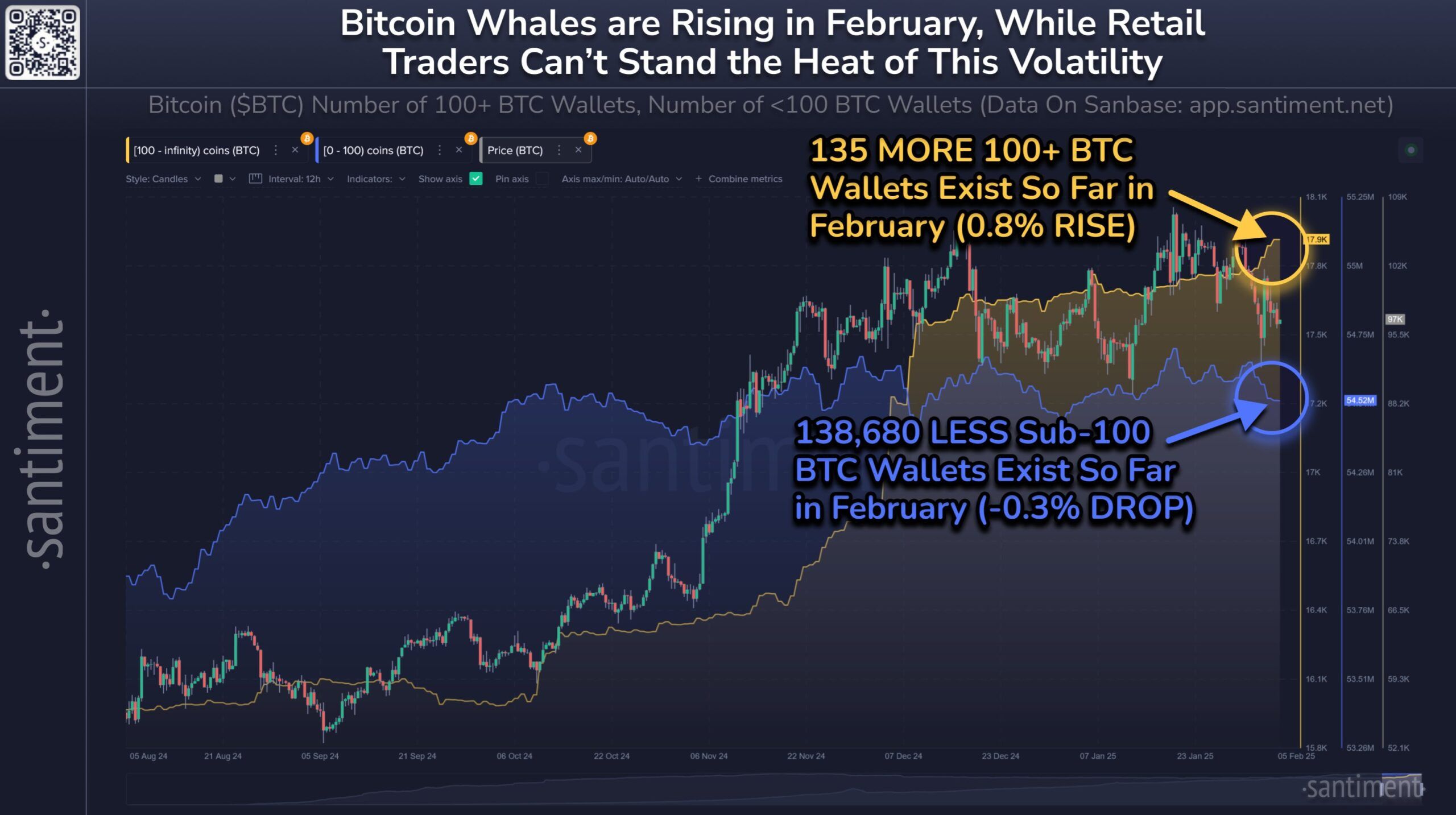  Bitcoin Whale Holdings 