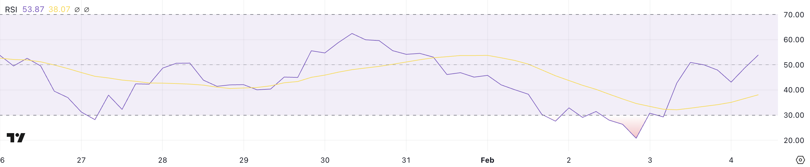 RAY RSI.