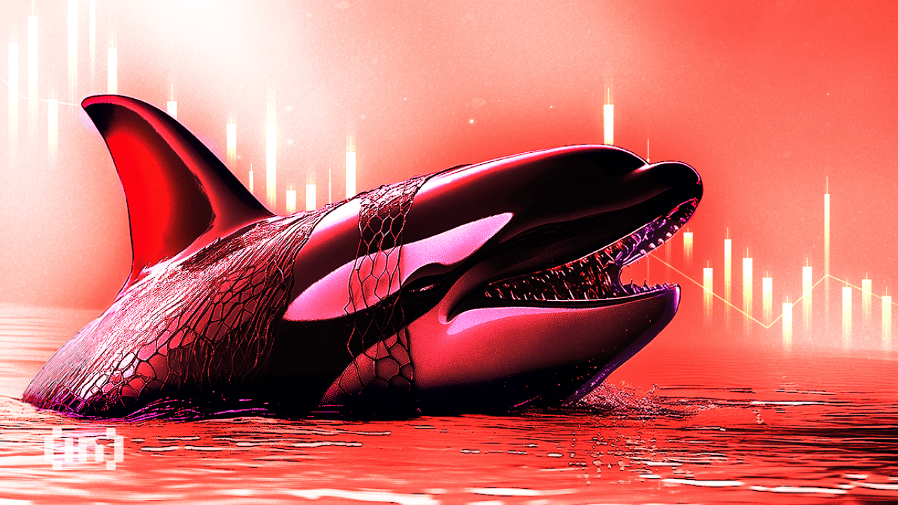 Hyperliquid Whale Loses $15 Million Betting Against the Market
