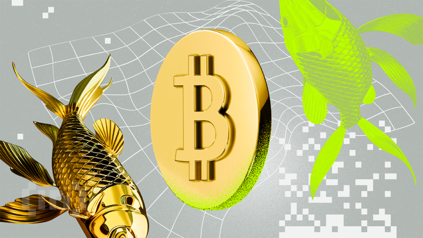 Bitcoin vs. Gold: Which Is the Best Investment In 2025?