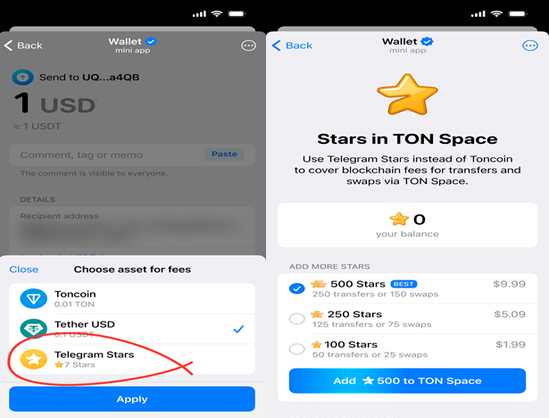 TON Space allows Telegram stars for payments