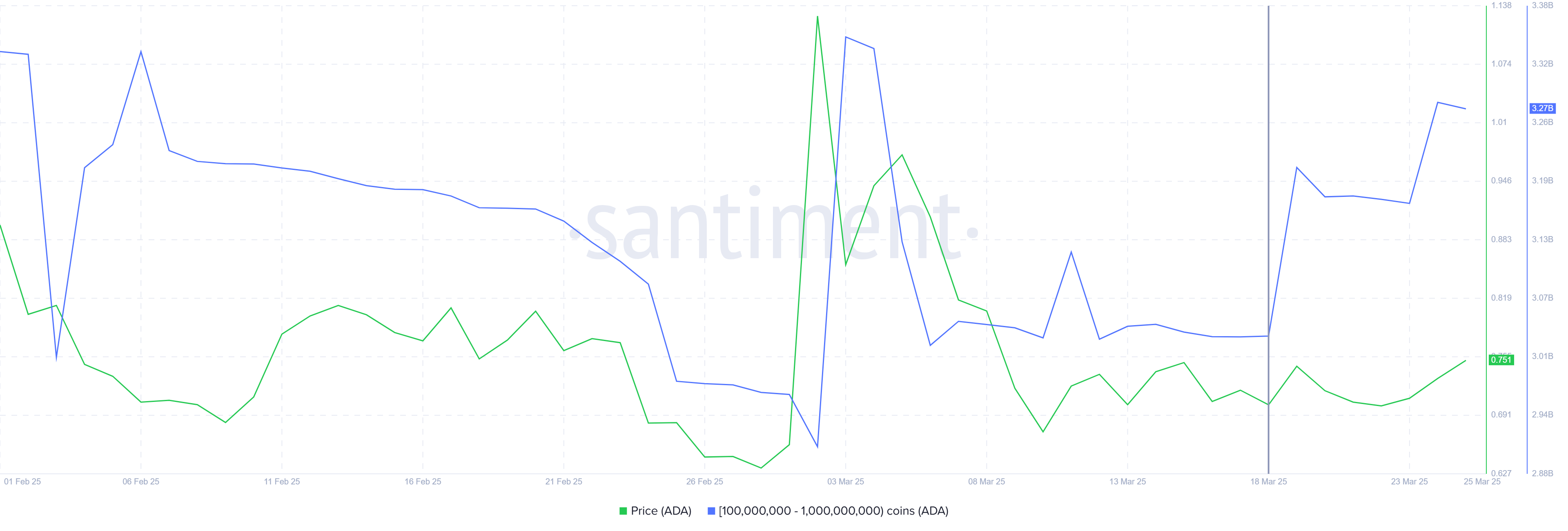 Cardano Whale Holding