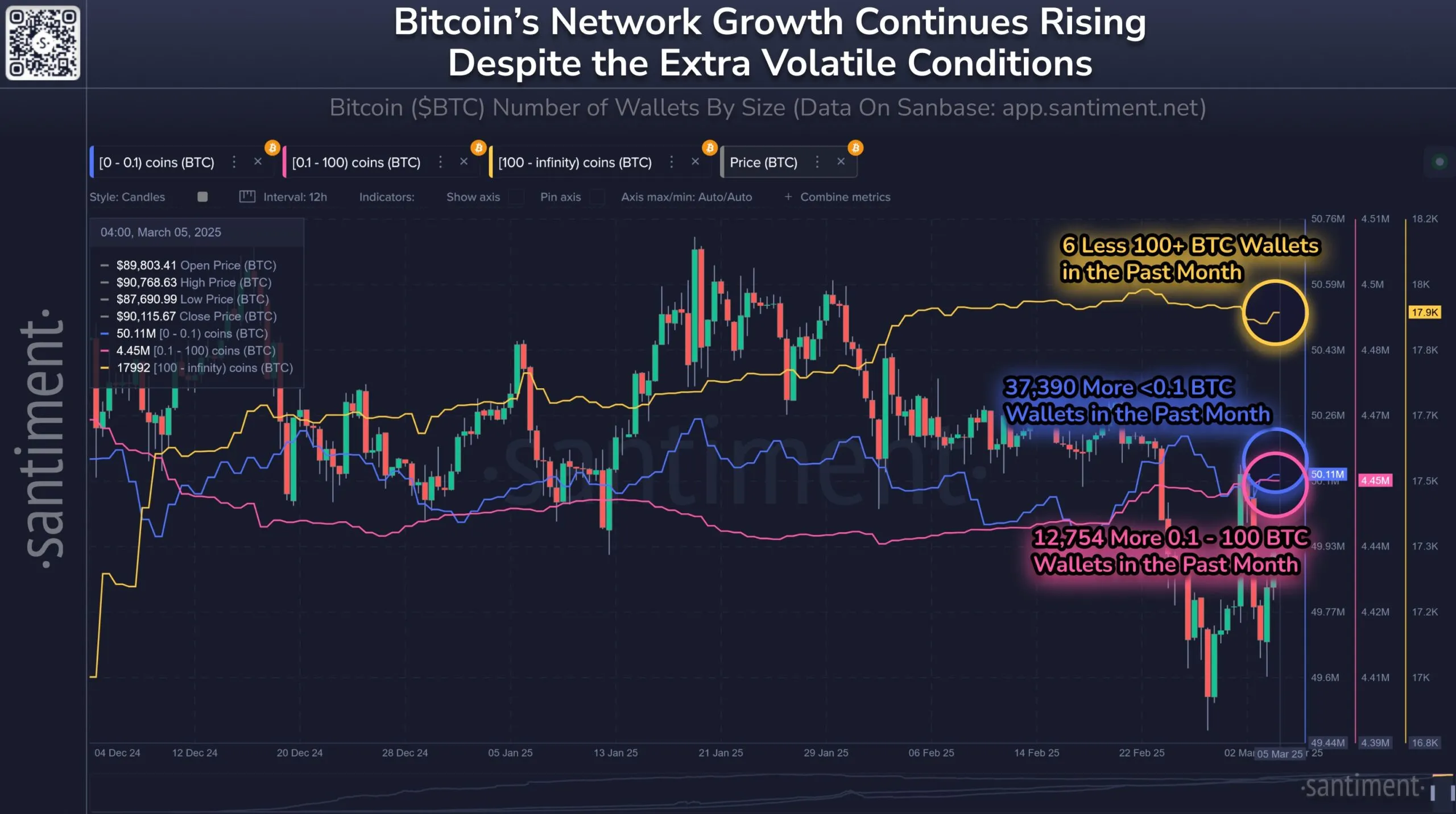 Bitcoin STH Holders