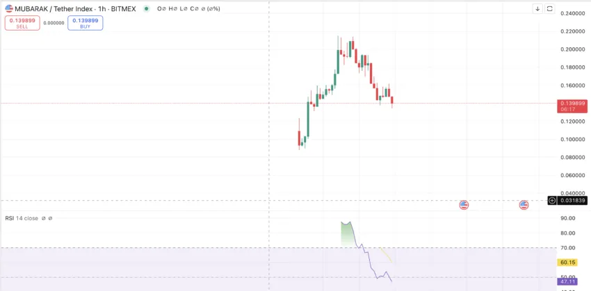 Mubarak token price correction was imminent: TradingView