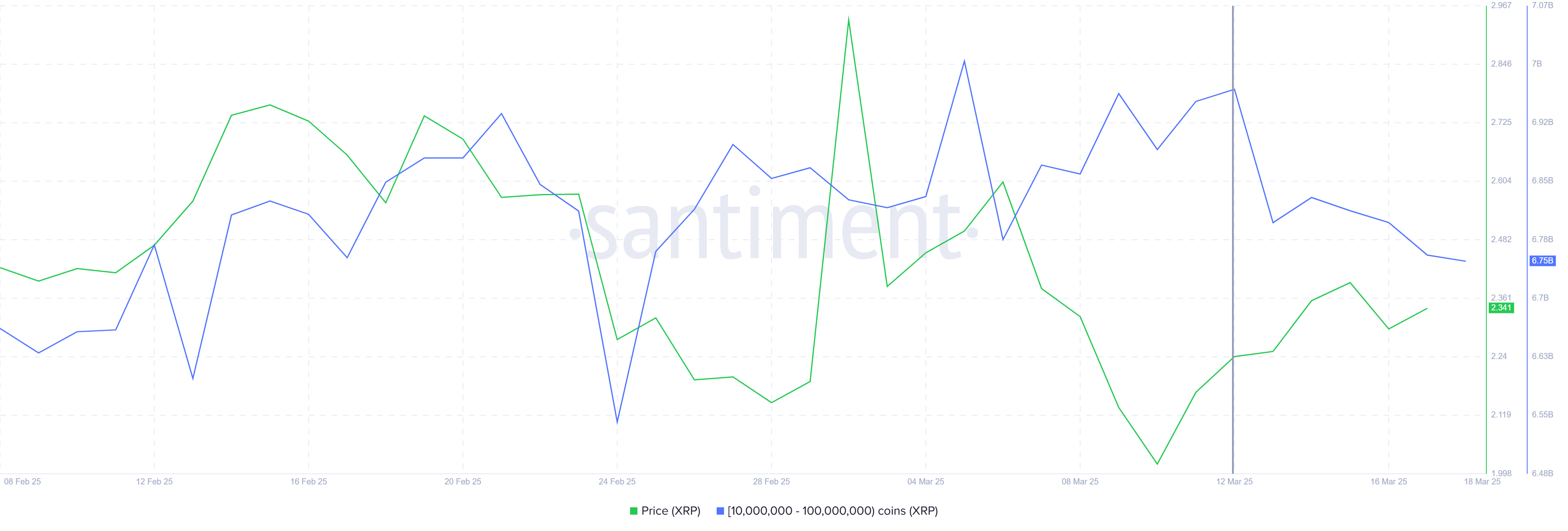 XRP Whale Holdings