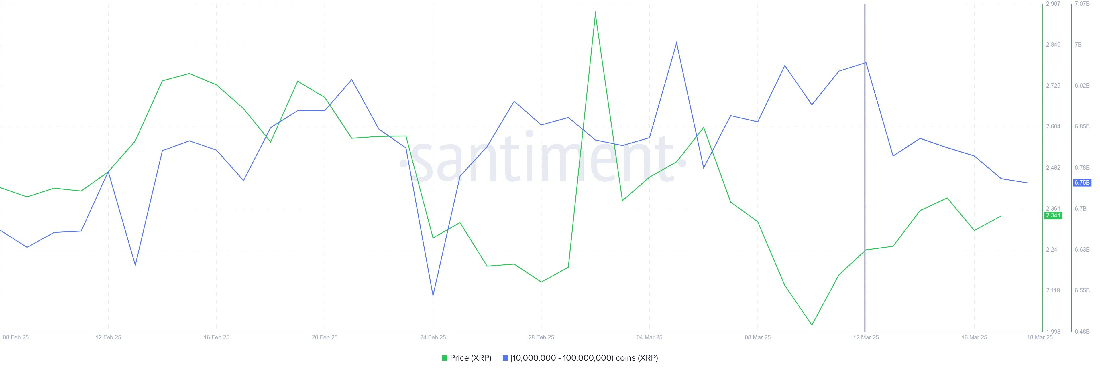 XRP Whale Holdings