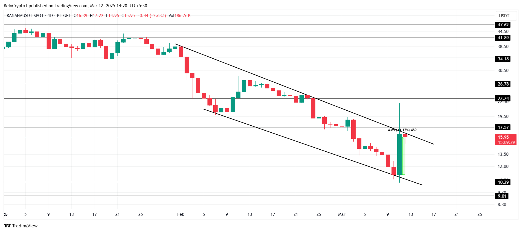 BANANA Price Analysis. 